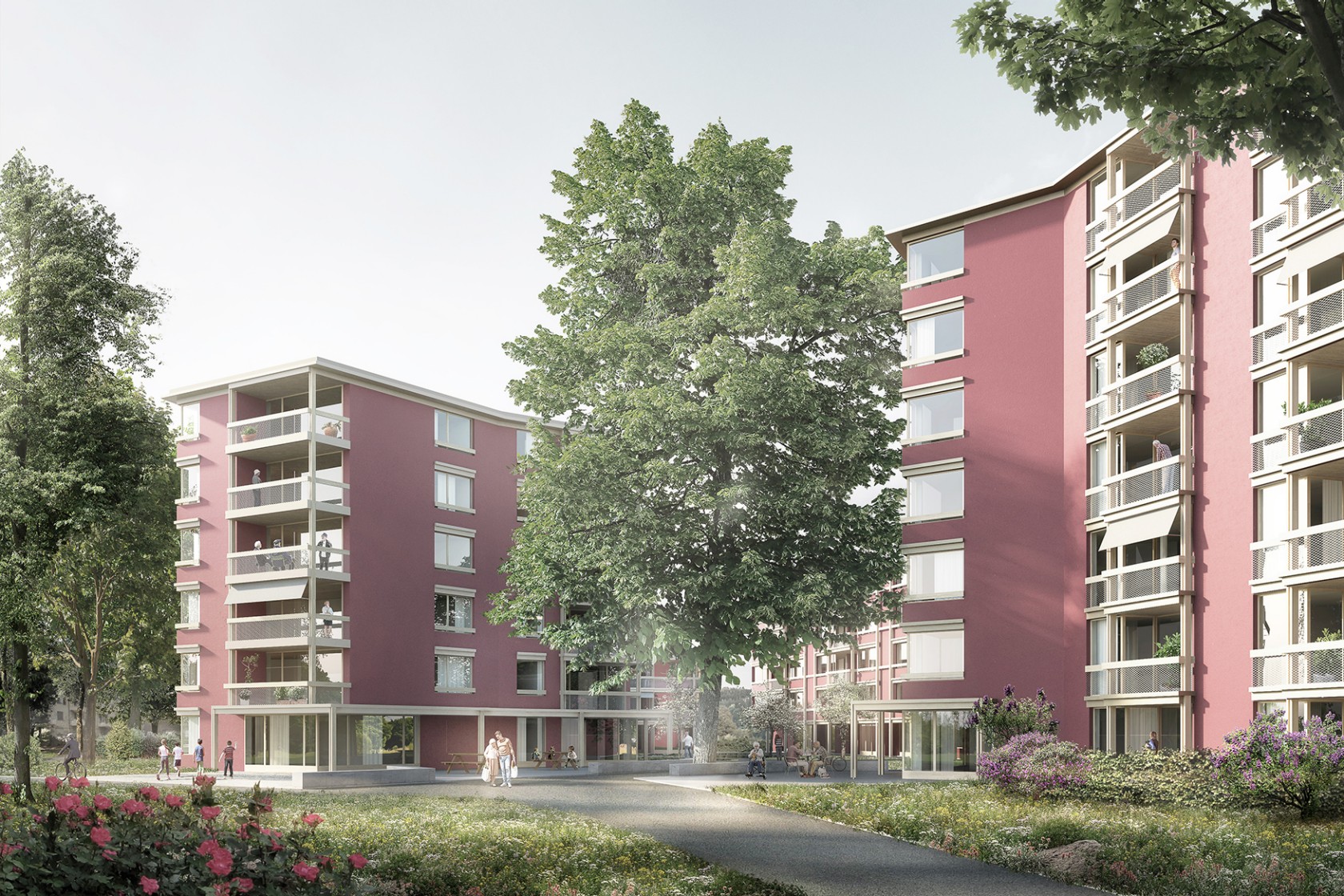 Visualisierung der Gebäude von Aussen