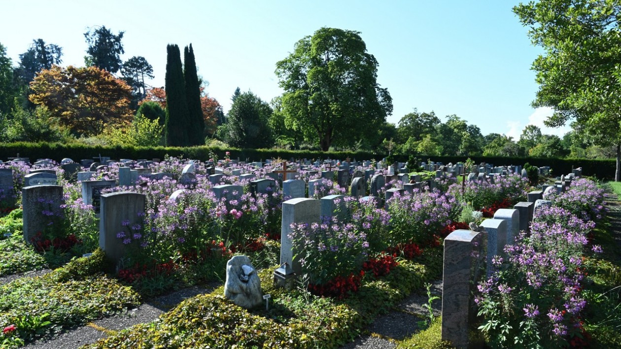 Reihengrab Friedhof Nordheim