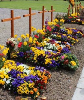 Frühling und Sommerbepflanzung