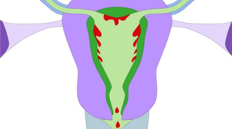 Illu-Symbolbild-Zyklus-1200x672 Symbolbild Menstruation und Zyklus