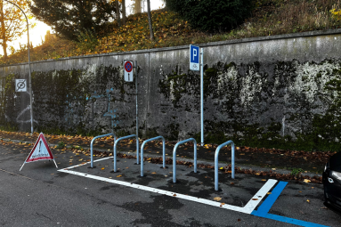 Frohburgstrasse 340 nachher