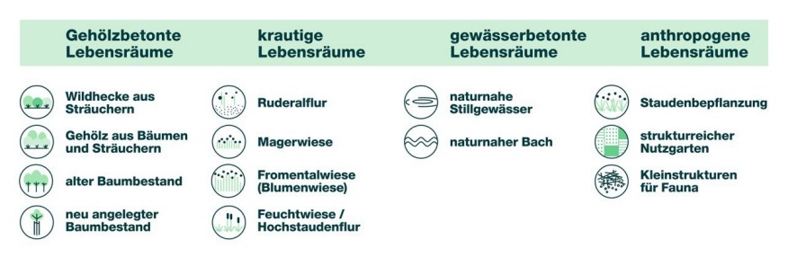 13 Stadtlebensräume