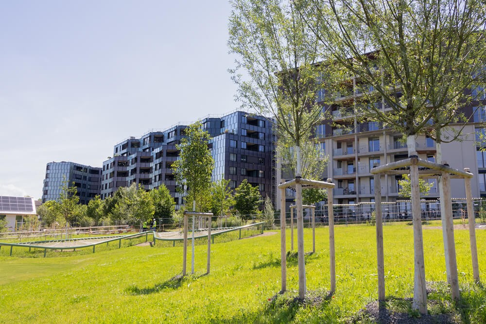 Quartierpark Guggach
