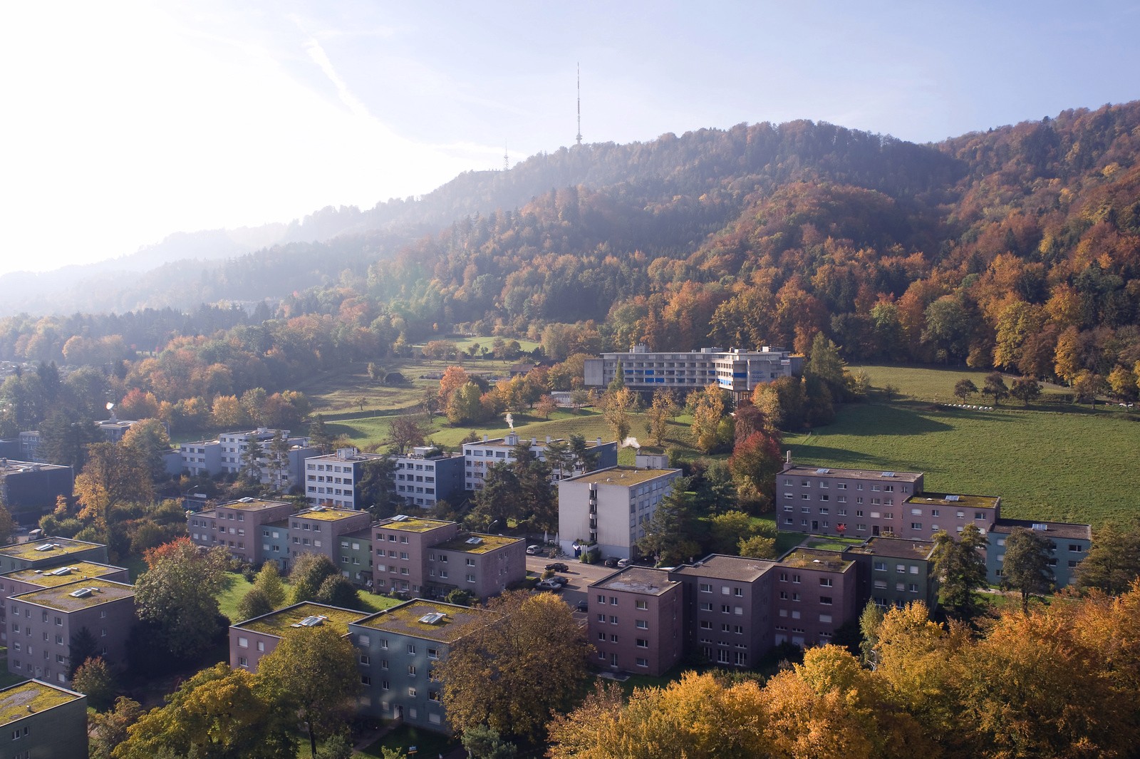 Die Wohnsiedlung vor dem Uetliberg. Bild: Baugeschichtliches Archiv, Juliet Haller