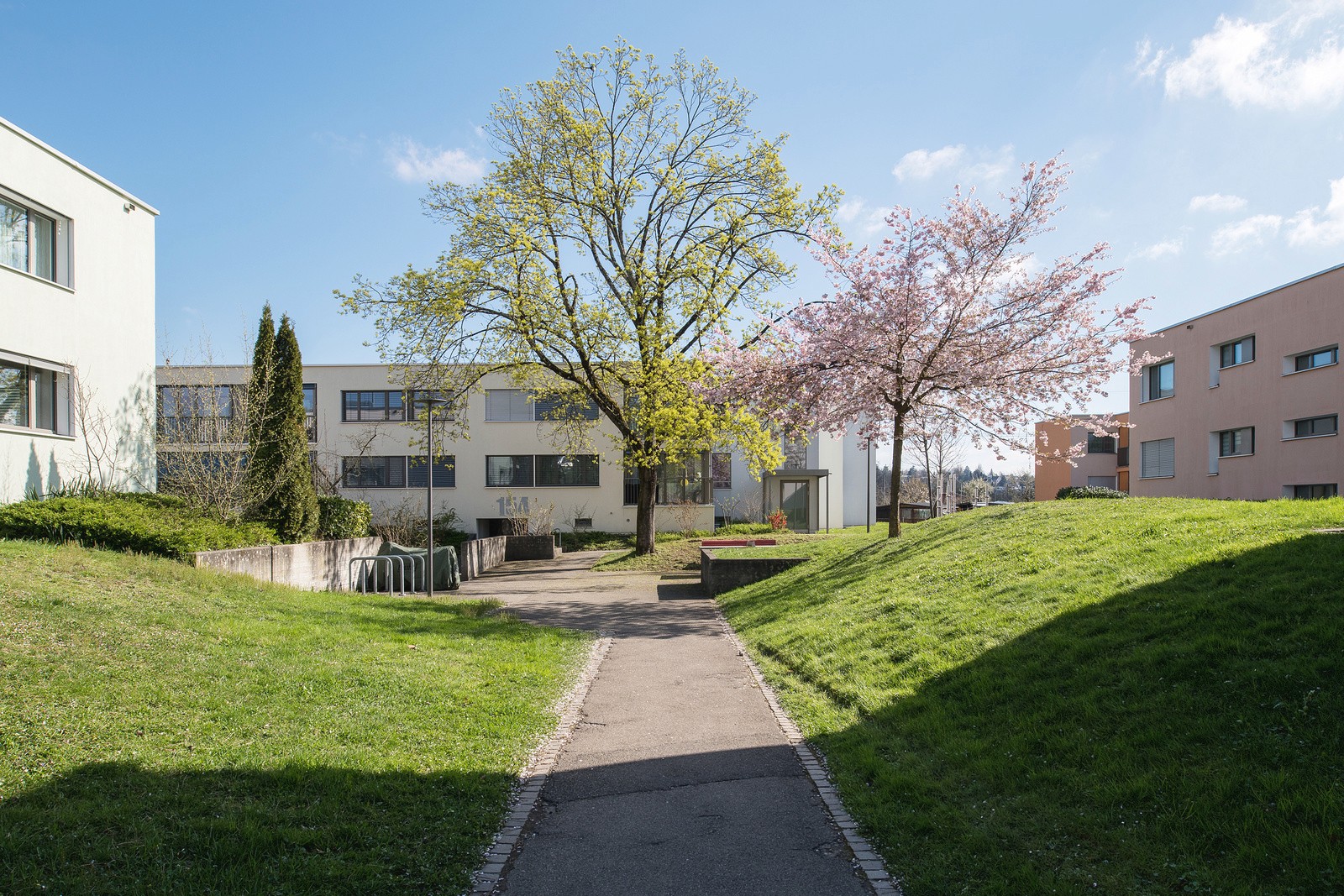 Das Bild zeigt einen Weg, der durch die Wohnsiedlung führt. Bild: Baugeschichtliches Archiv, Juliet Haller