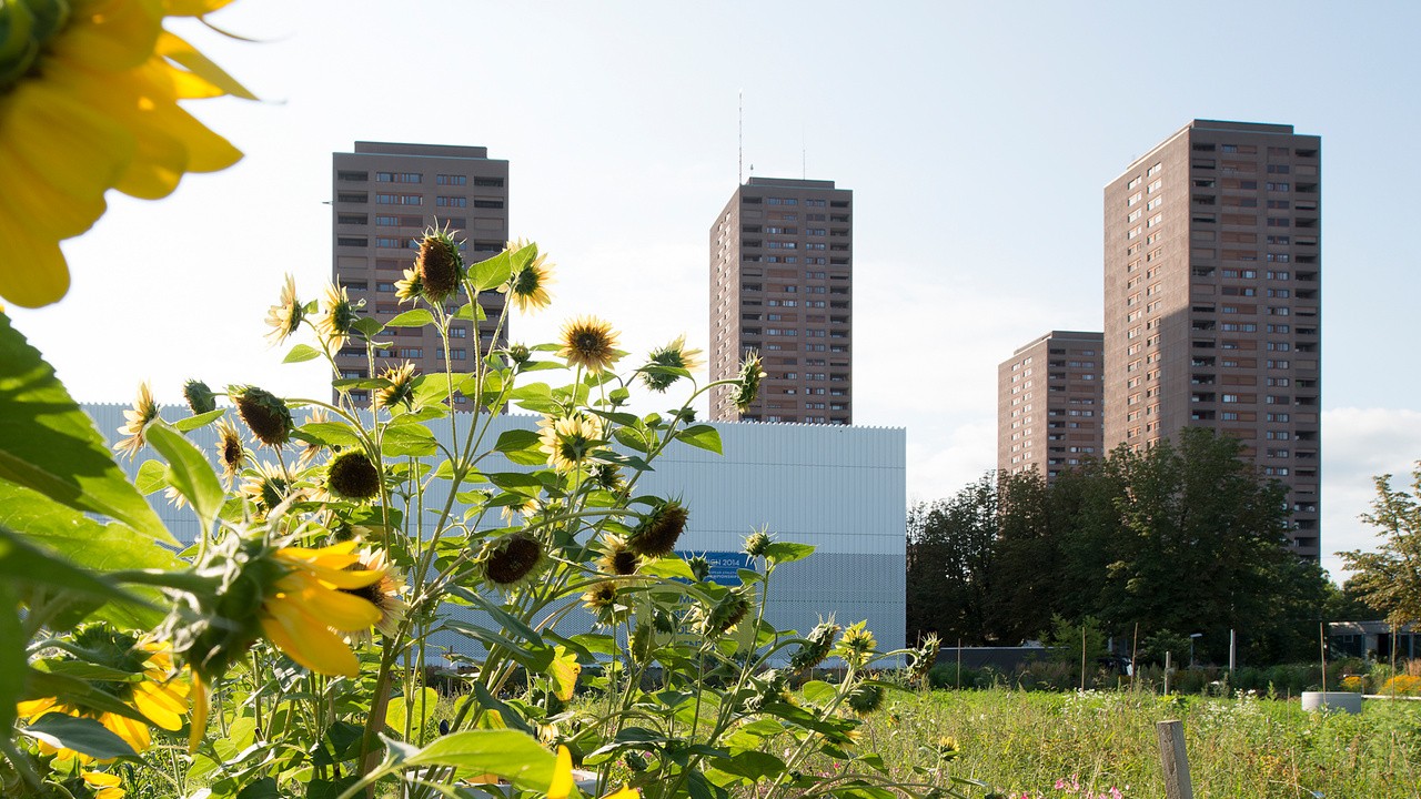 Die Türme der Wohnsiedlung Hardau II erreichen eine Höhe von bis zu 93 Metern. Bild: Baugeschichtliches Archiv, Juliet Haller