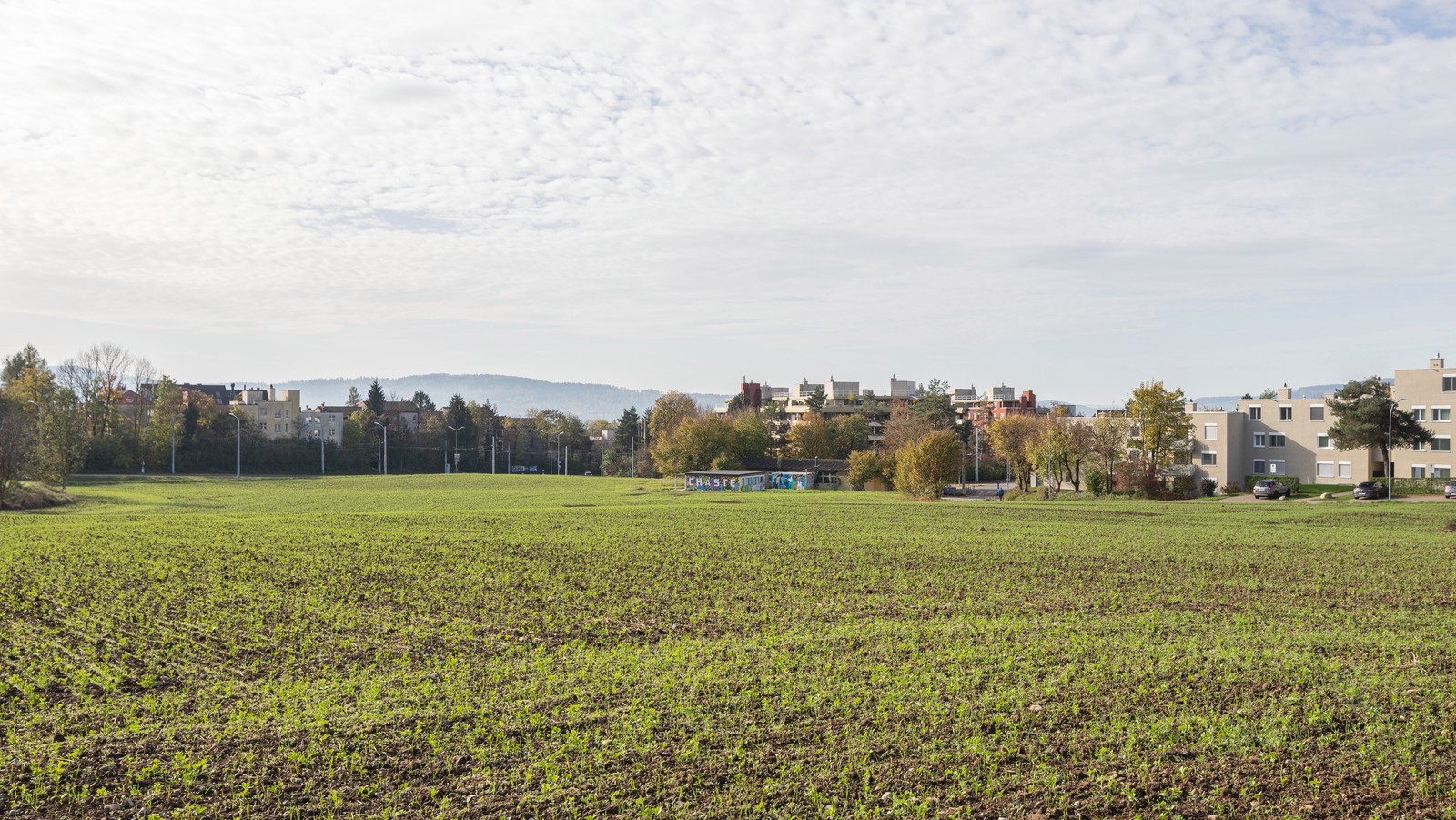 Bild des Areal Grünwald in Richtung Geeringerstrasse Bild: Baugeschichtliches Archiv, Timon Wenger
