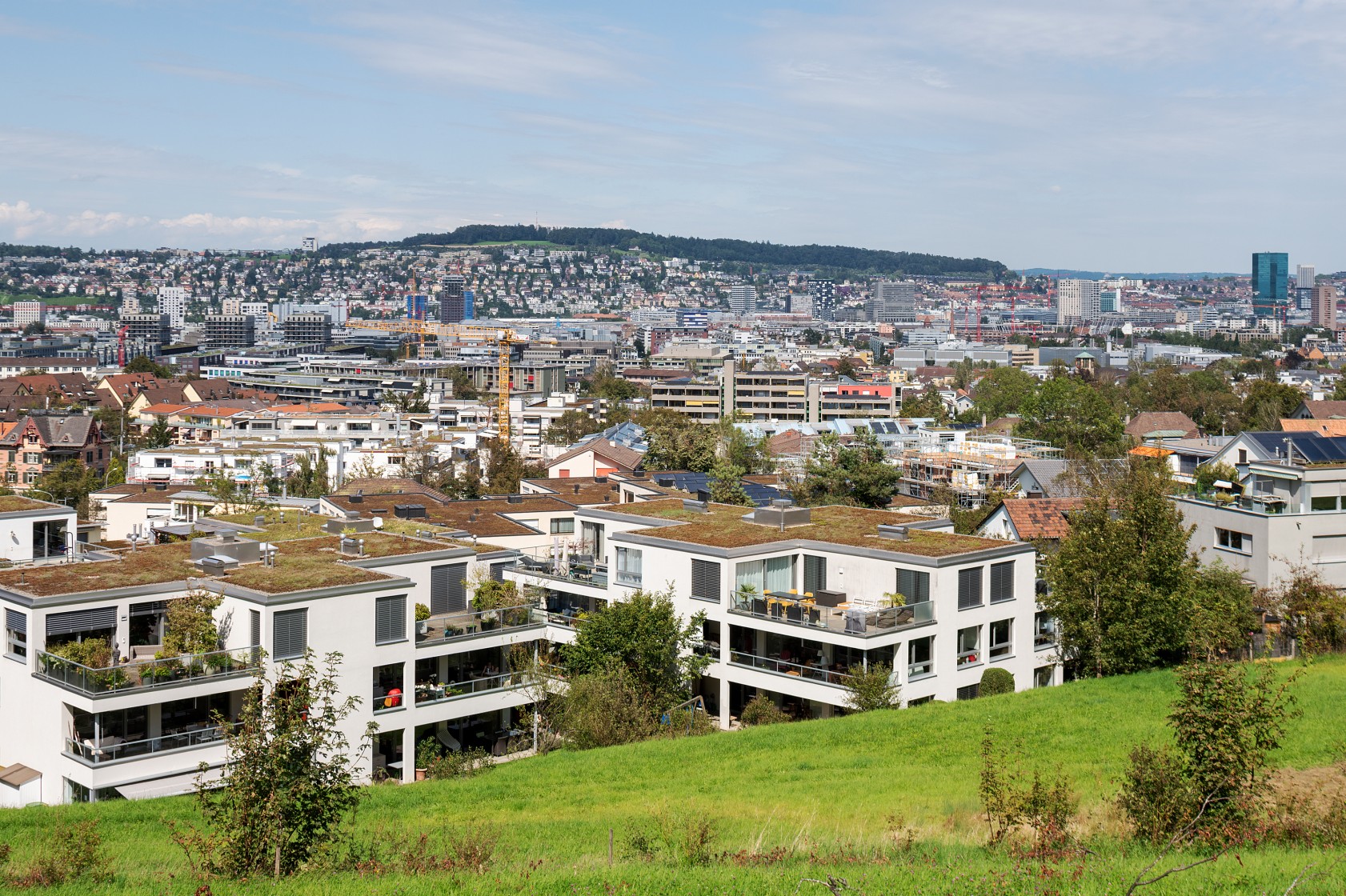 Aussicht auf die Stadt Zürich vom Hagenbuchrain