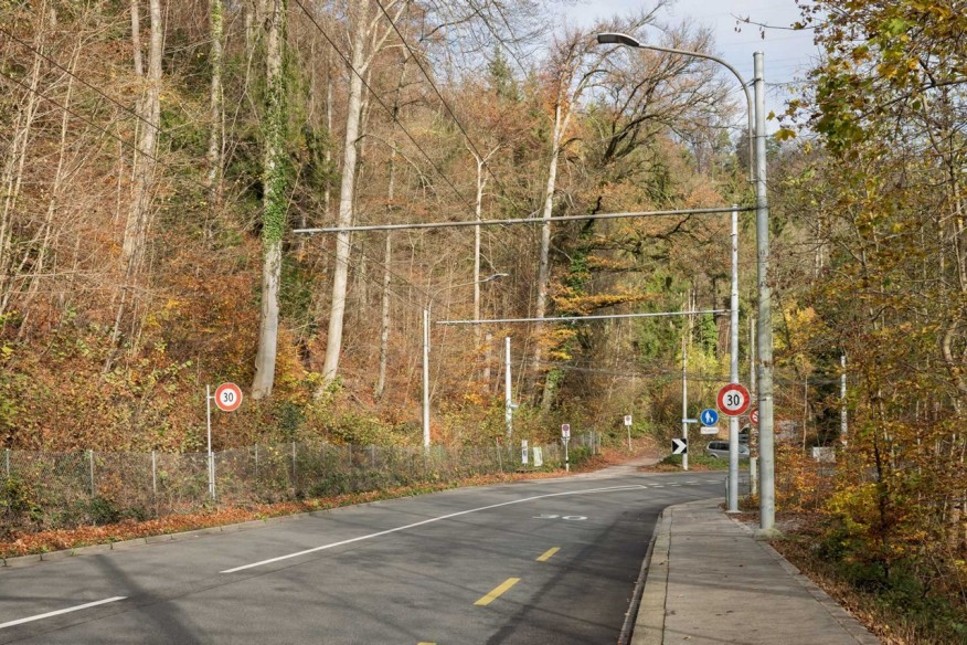 Die Witikonerstrasse vor der Umsetzung des Projektes