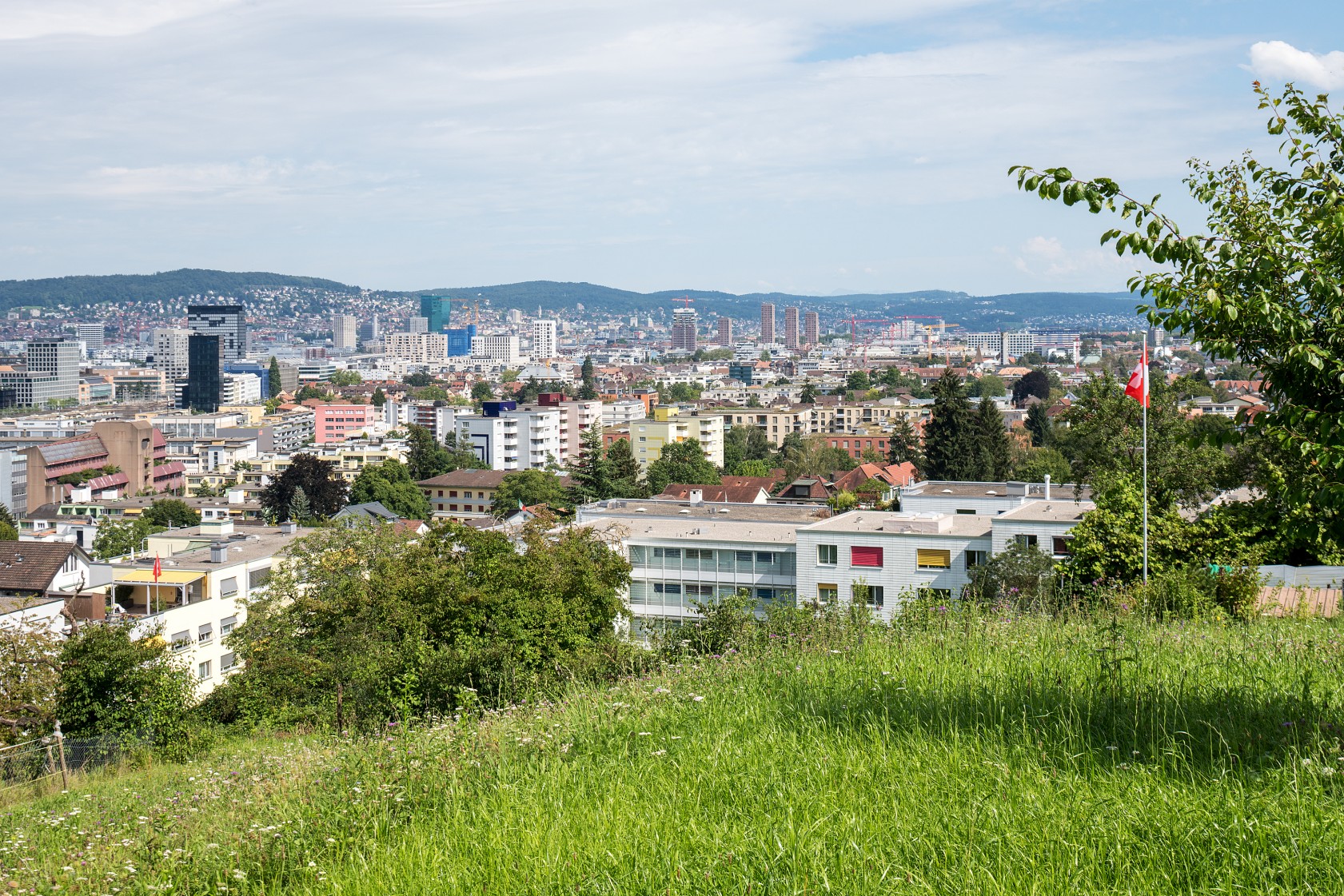 Aussicht auf Zürich vom Heerenbergli