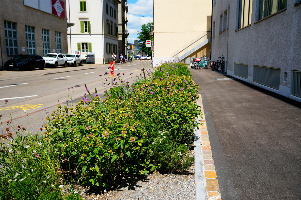 Selnaustrasse