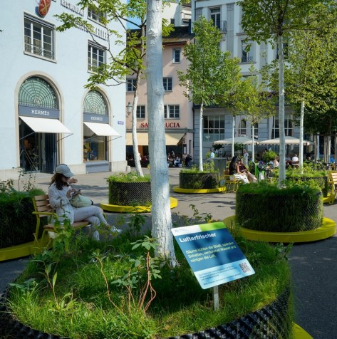 Grünes Gastspiel ZH1