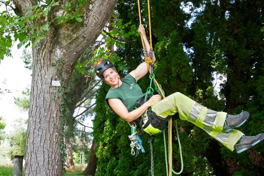 Porträtbild Nadja Bonadurer Nadja Bonadurer in grüner Arbeitskleidung bei der Arbeit im Baum an Seilen gesichert.