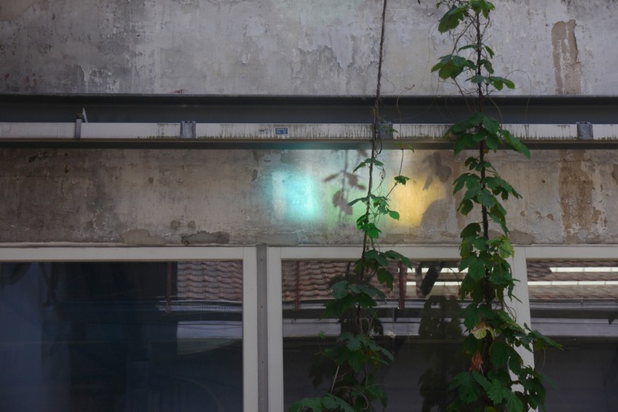 Hauswand mit Spiegeln und Pflanzen, mit Lichtreflexionen in blau, grün und gelb