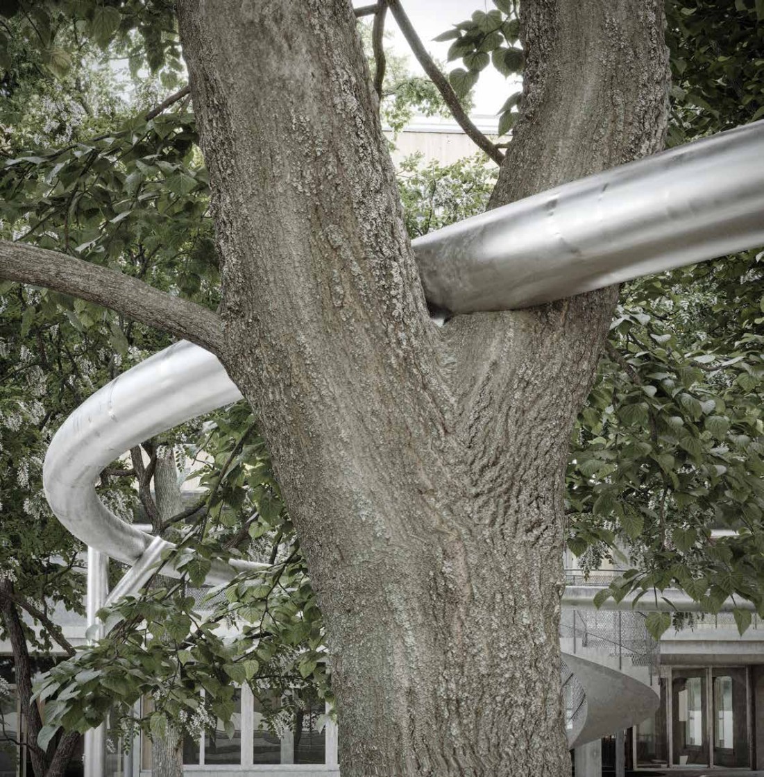 Visualisierung eines gebogenen Metallrohrs, von einem Baum gestützt