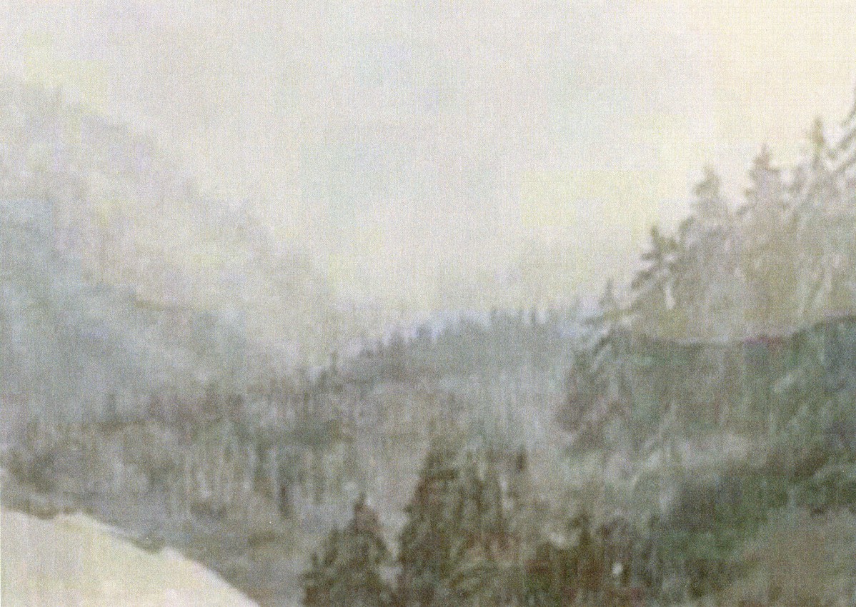 Waldlandschaft im Nebel