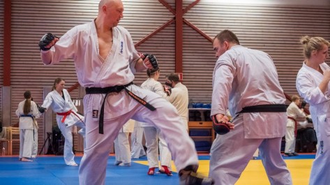 kyokushin-karate