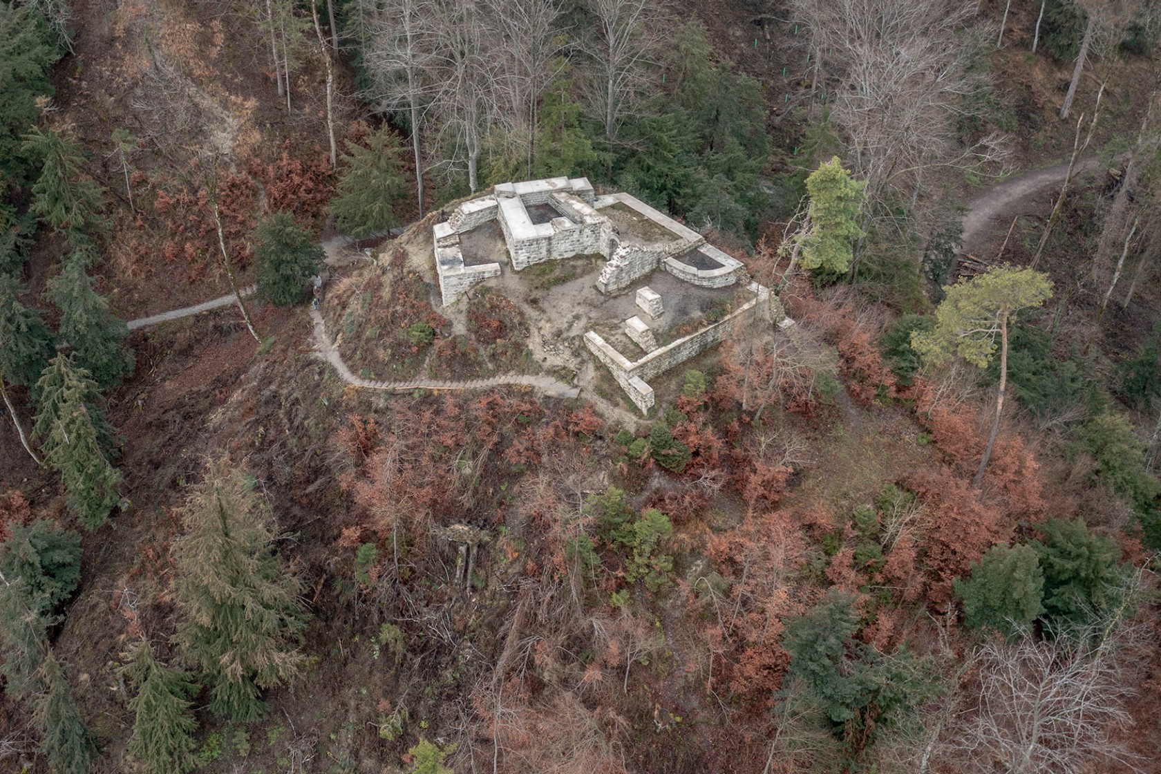 Restaurierte Burgruine. Sturmschäden haben den Burghügel weitgehend freigelegt. (Bild AfS/Stadtarchäologie Januar 2023)