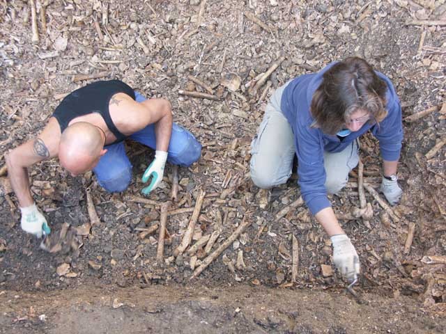 Blick in eine der beiden grossen, mit menschlichen Knochen gefüllten Gruben. (Foto AfS/Archäologie)