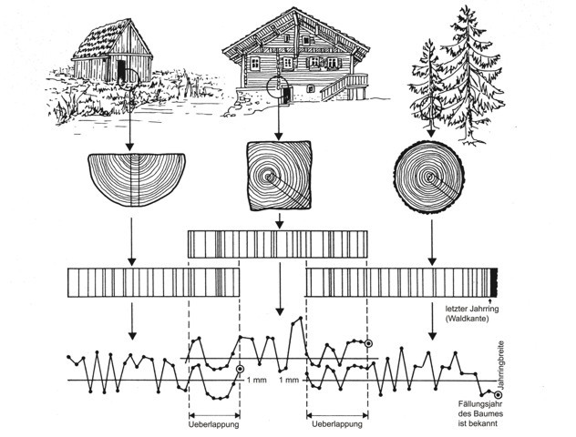 Schema