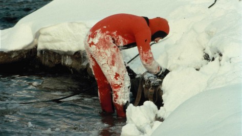 taucher-winter taucher-winter