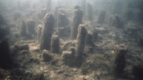 Zürich - Kleiner Hafner: Pfahlfeld