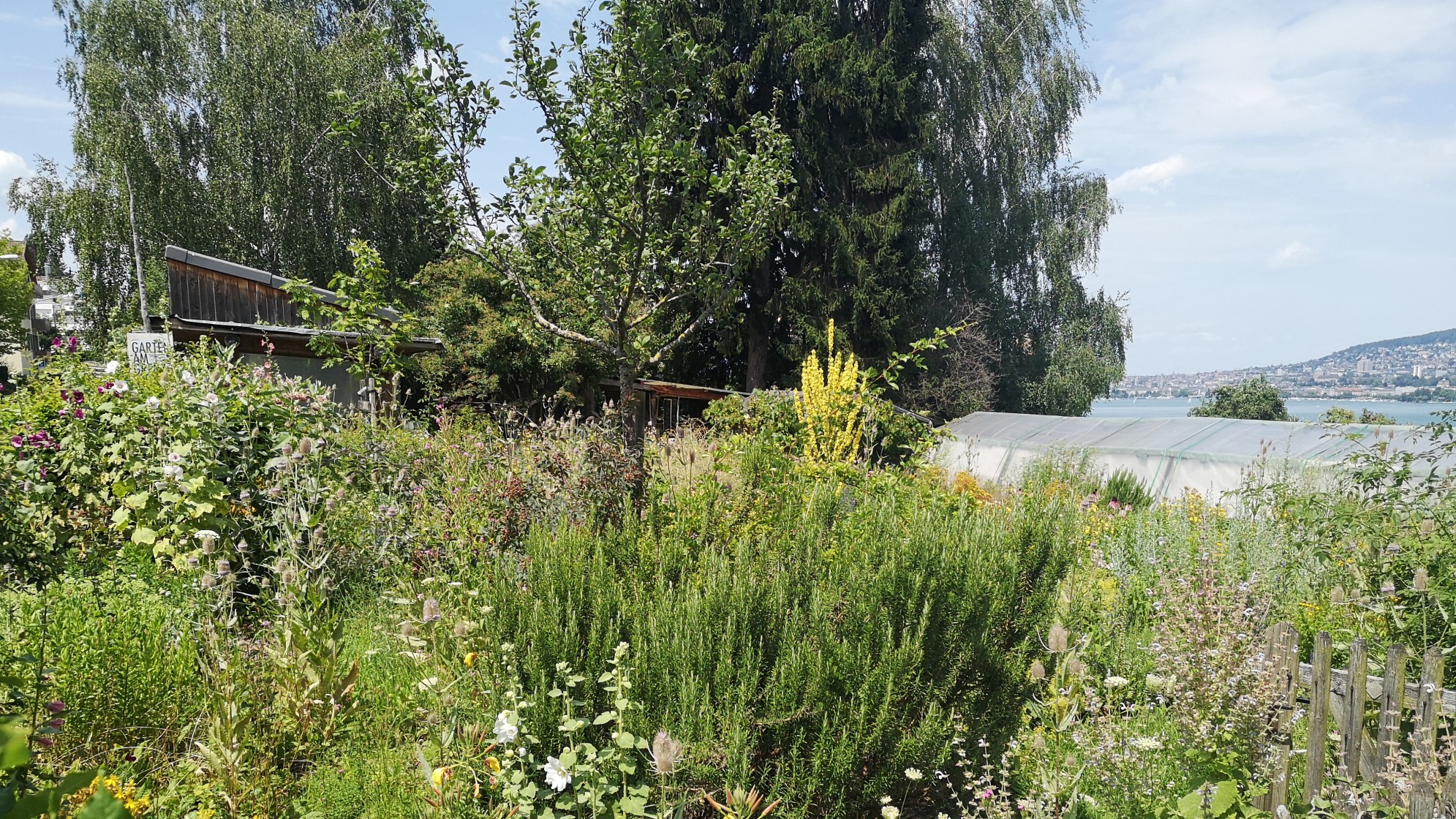 Garten am Grenzsteig in Zürich-Wollishofen