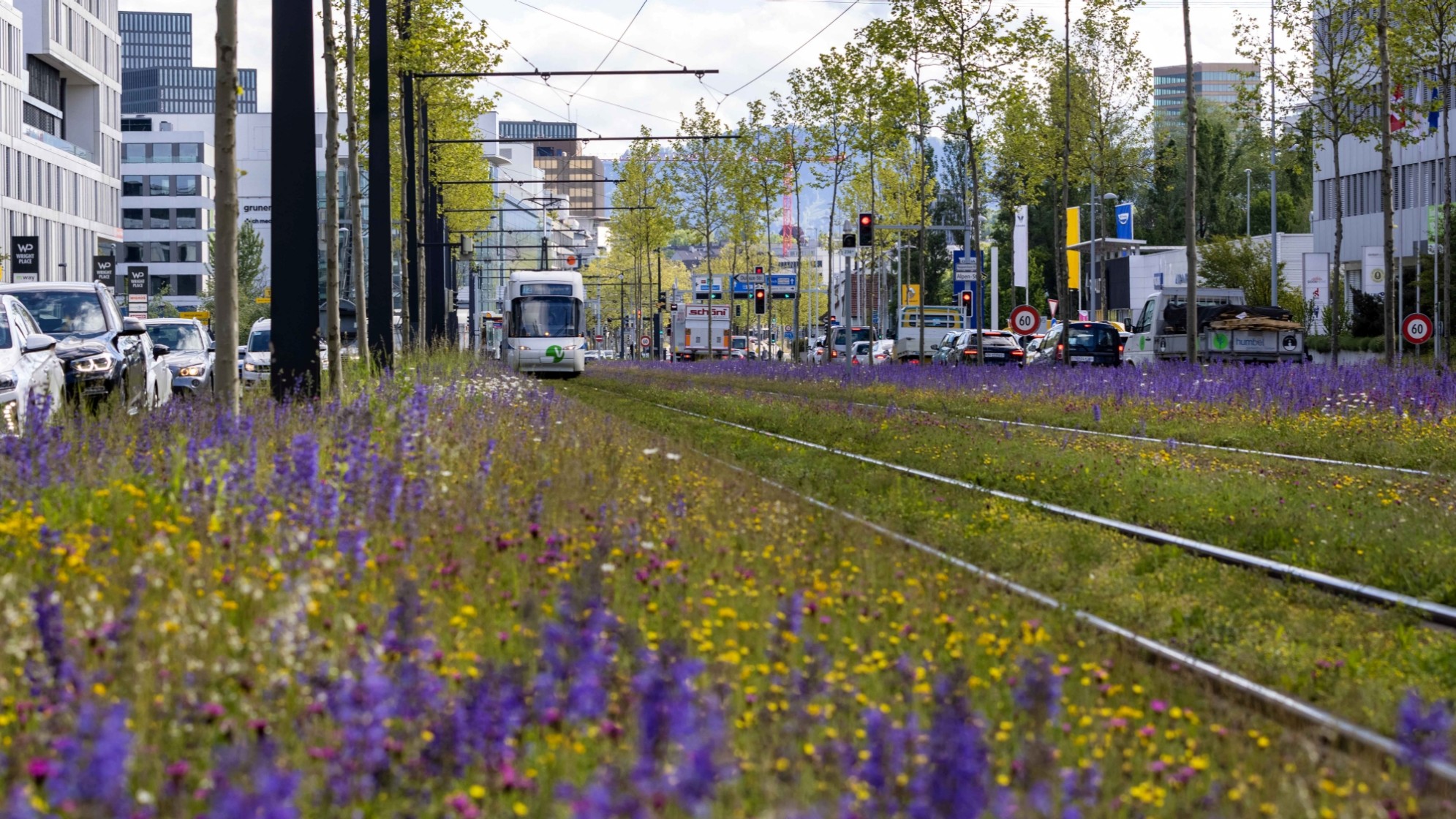 Zürich Nord Tramtrassee. Foto: Katharina Nüesch