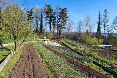 Ackerfläche mit verschiedenen Sorten