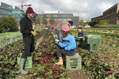 Quartierhof in Zürich
