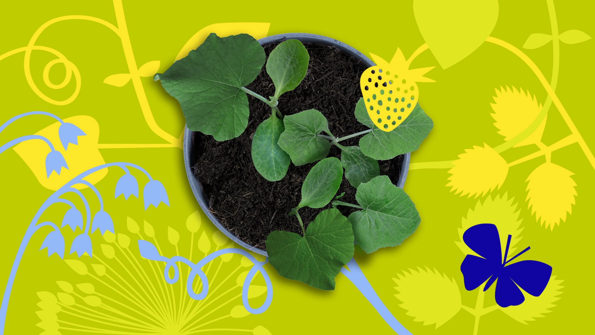 Signet Frühlingsmarkt