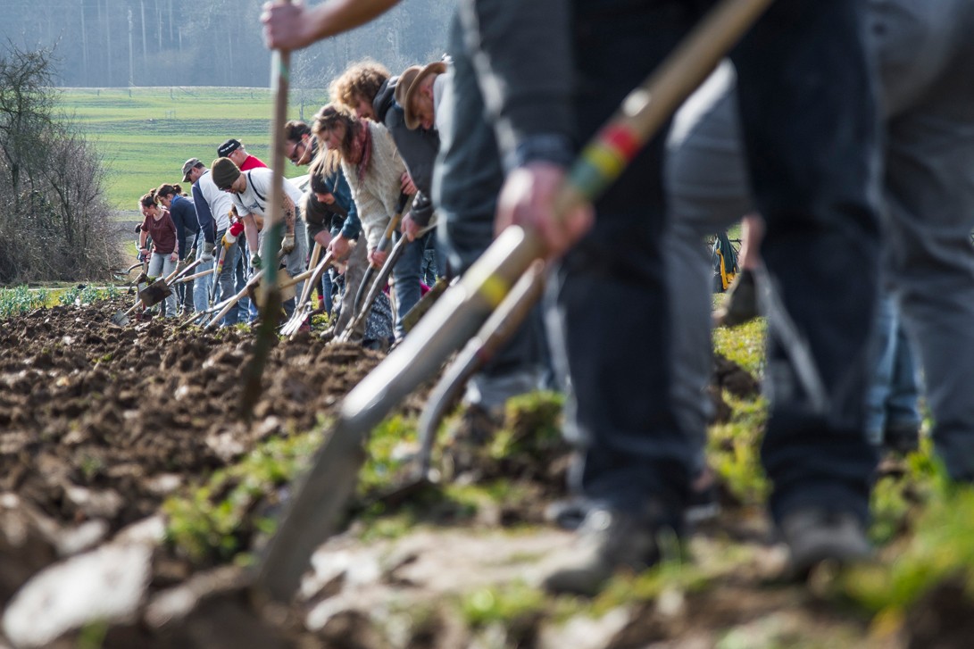 Ein Reihe von Menschen, die mit Schaufeln auf einem Feld arbeiten