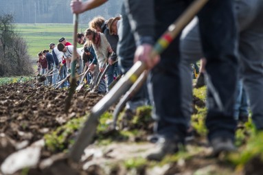 ortoloco Ein Reihe von Menschen, die mit Schaufeln auf einem Feld arbeiten