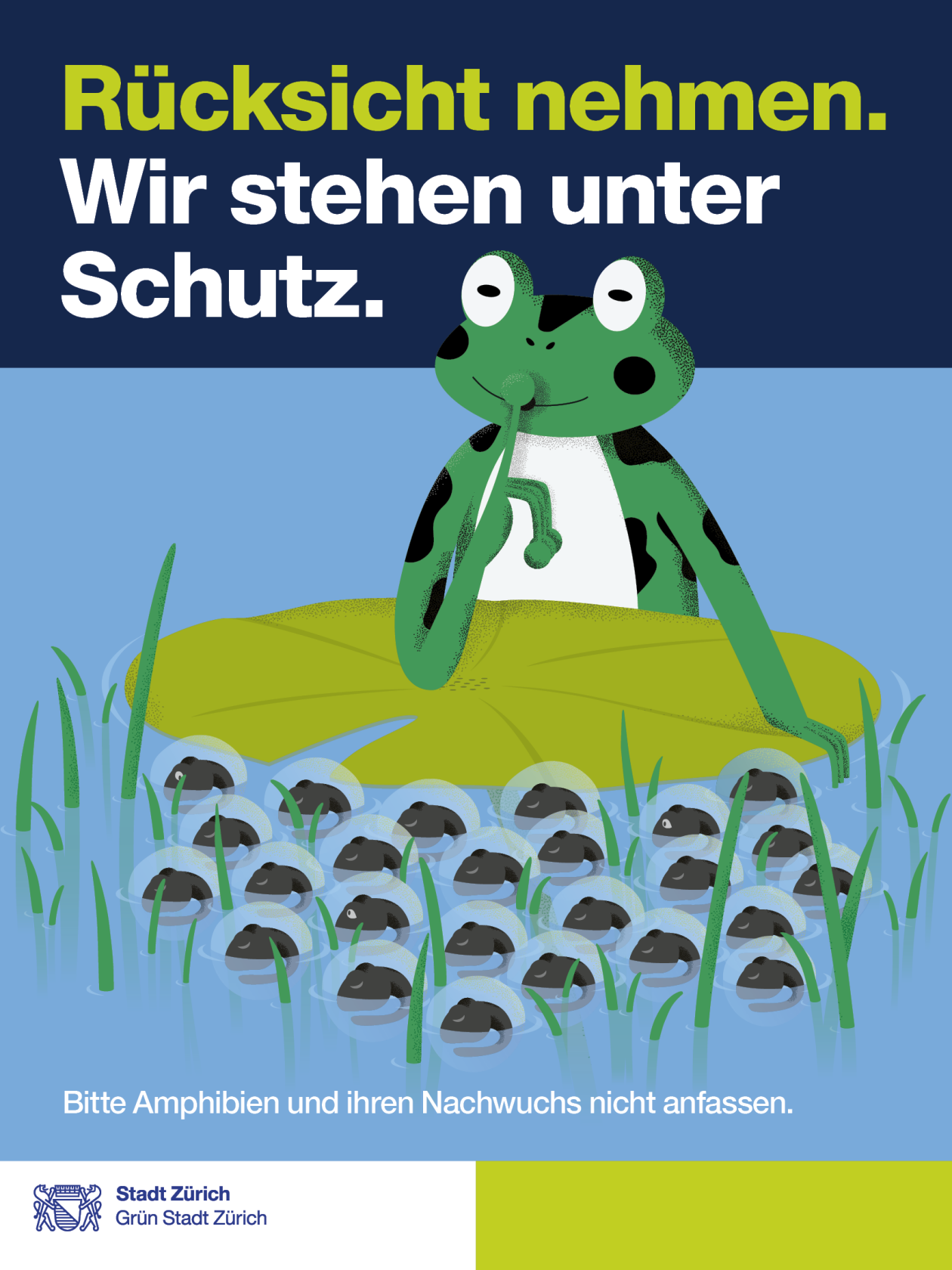 Plakat mit Illustration zum Schutz des Amphibien-Laichs