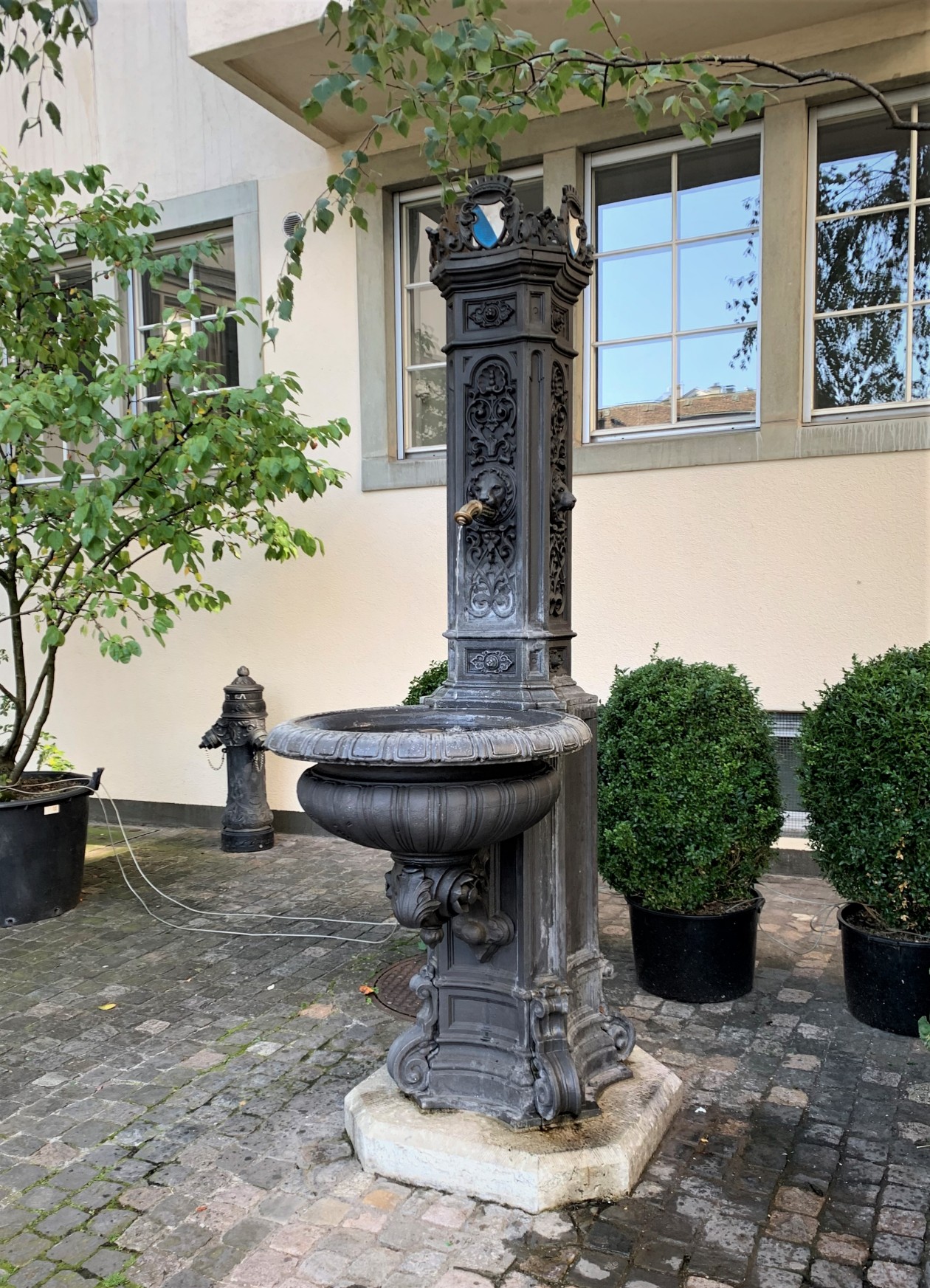 Schipfe 8