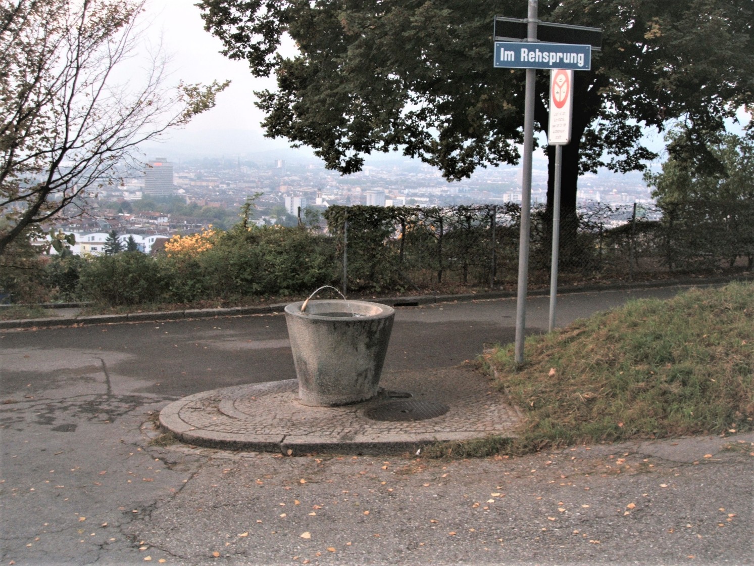 Im Rehsprung