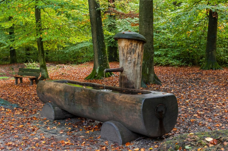 Hasenrain/Dachsschleife