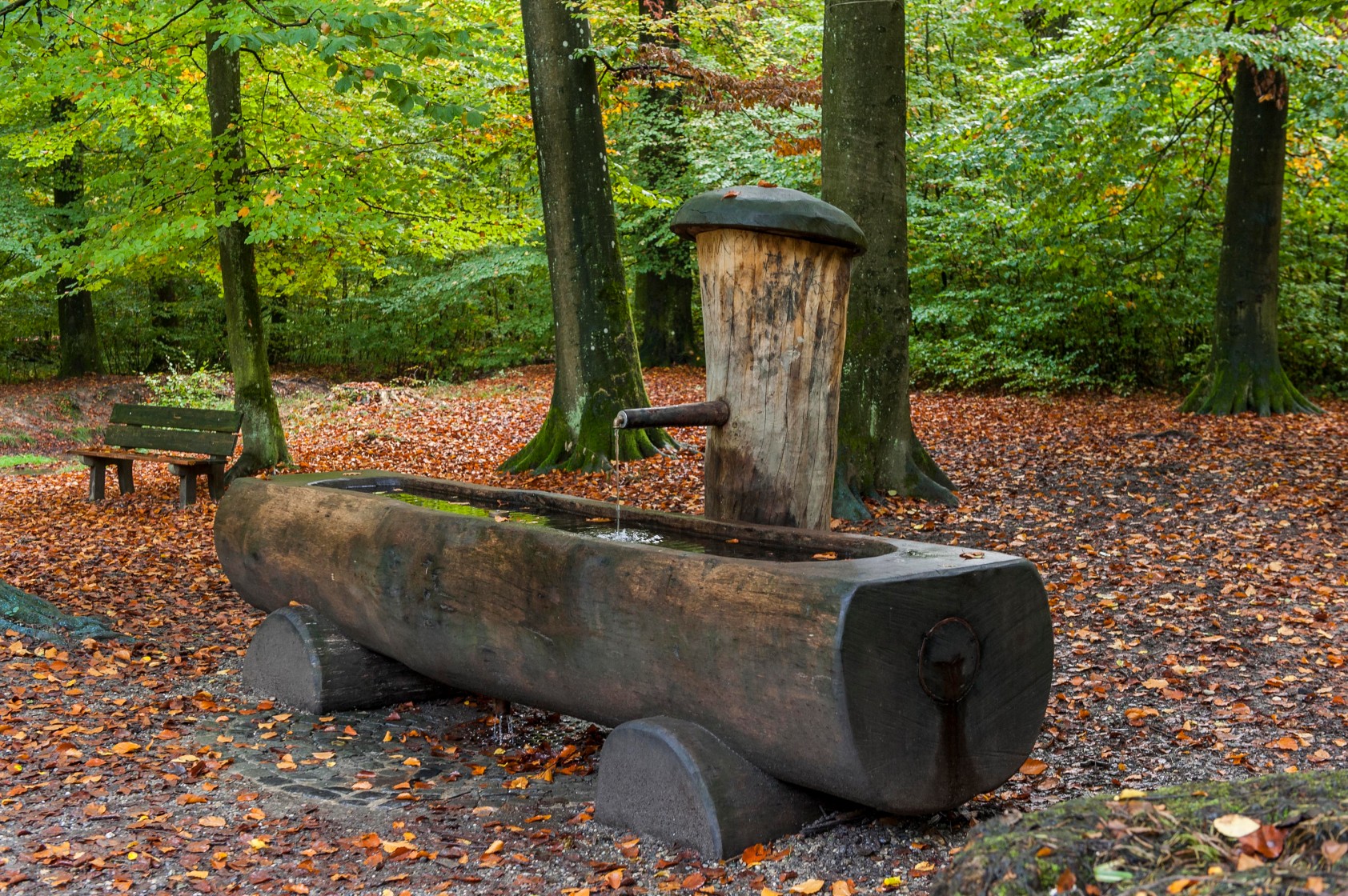 Hasenrain/Dachsschleife