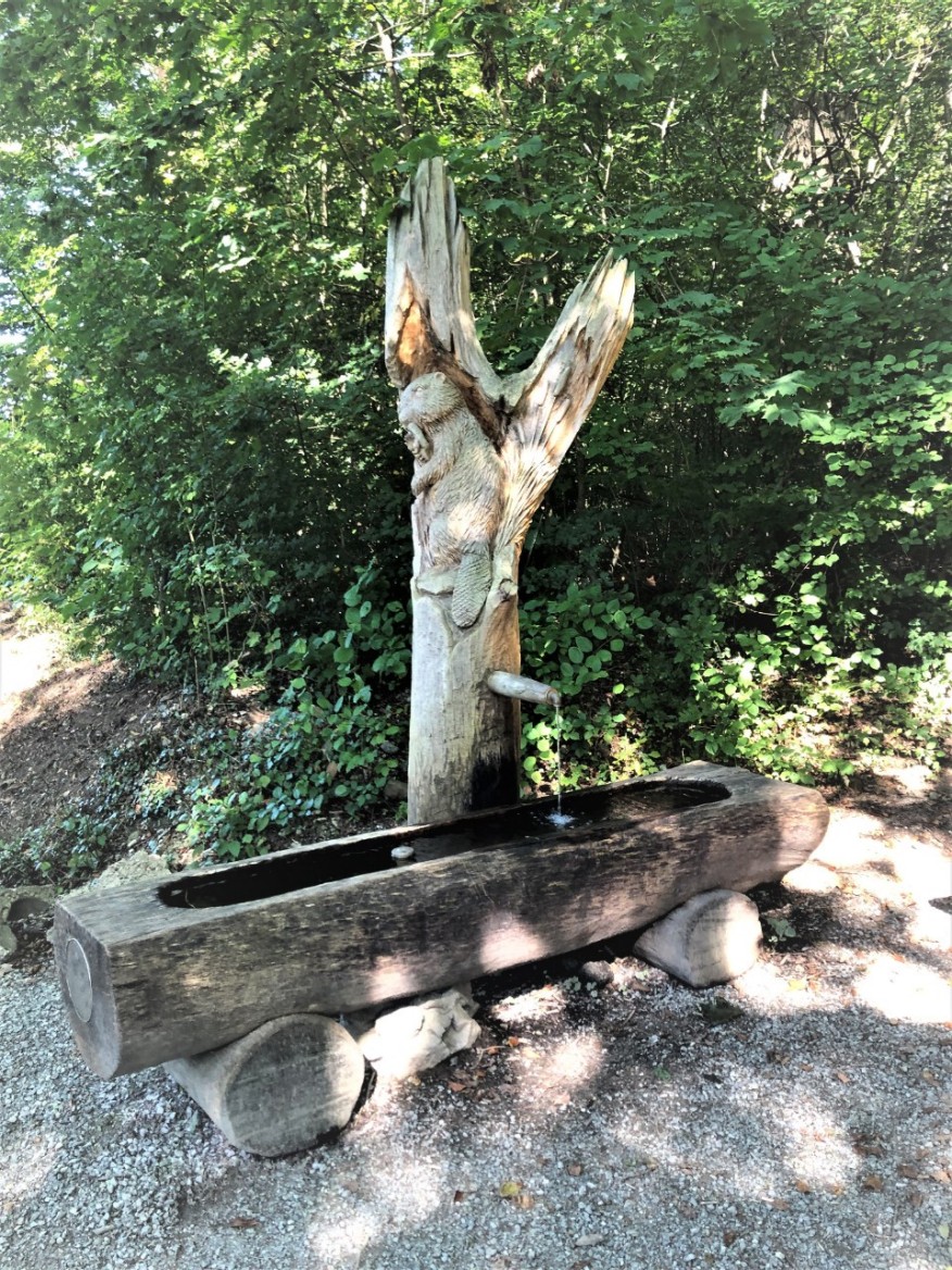 Alte Regensdorferstrasse, hinter Regensdorferstrasse 208