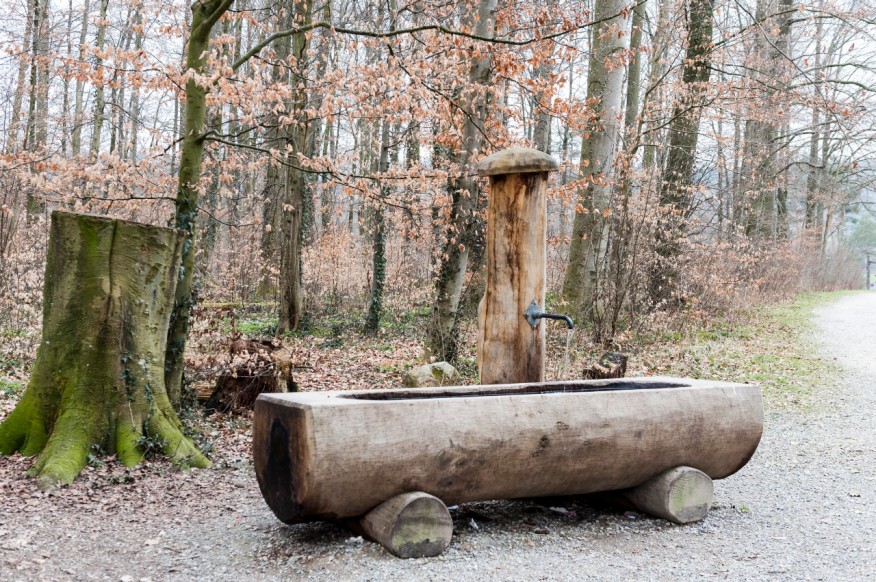 Seeholzweg hinter Wehntalerstr. 760, 770