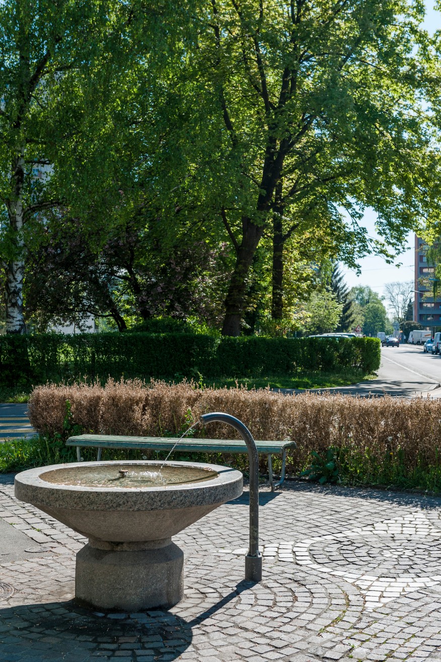 Grosswiesen-/Luchswiesenstrasse