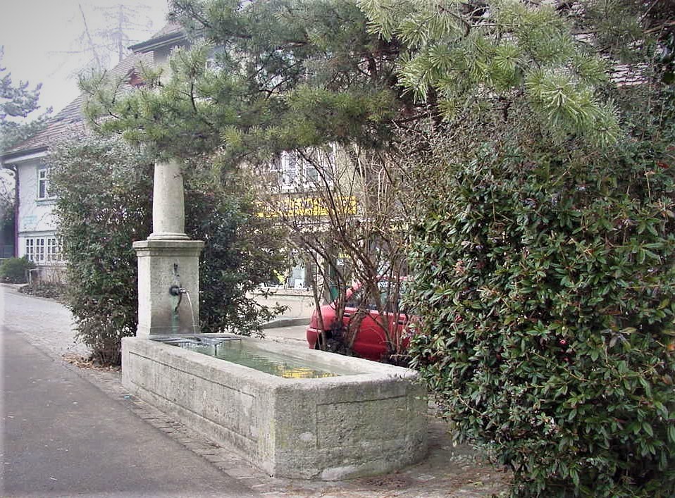Winterthurerstrasse 495