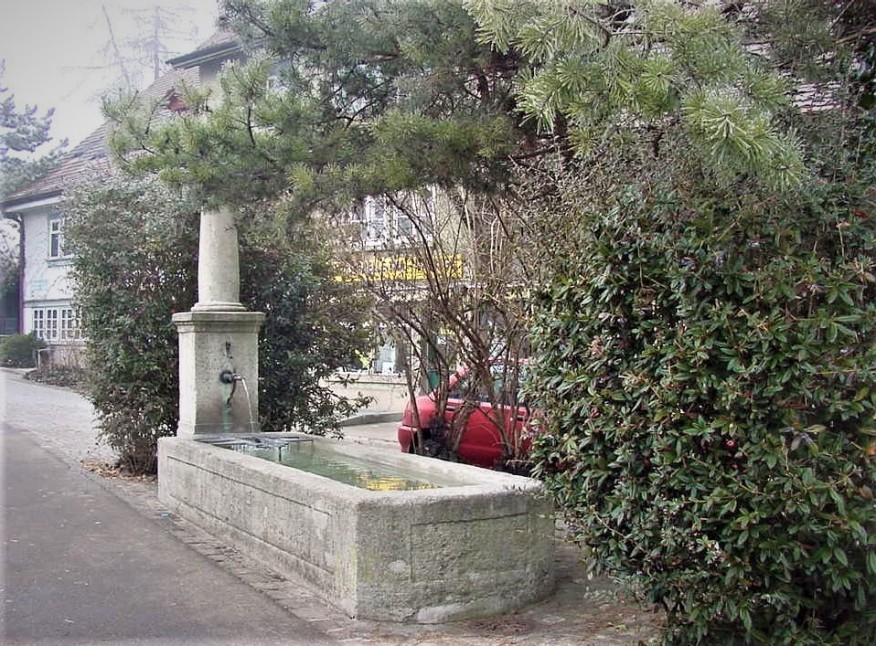 Winterthurerstrasse 495