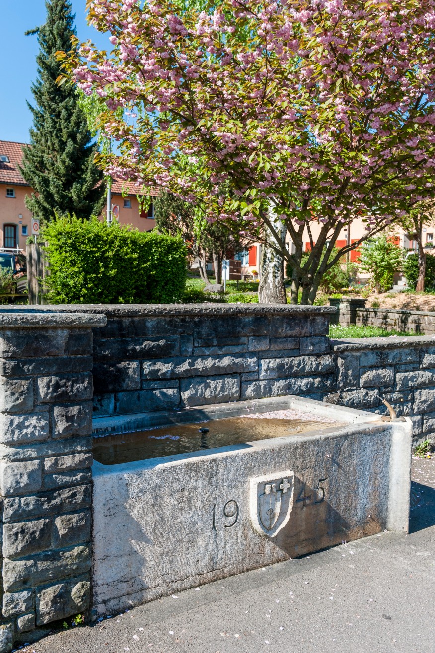 Dübendorferstrasse/Probsteistrasse