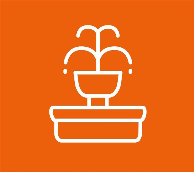 Friedhof Schwamendingen