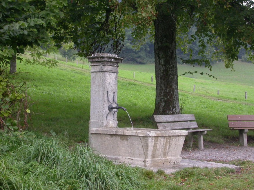 Frymannstr./Gänzlilooweg/Medikerweg