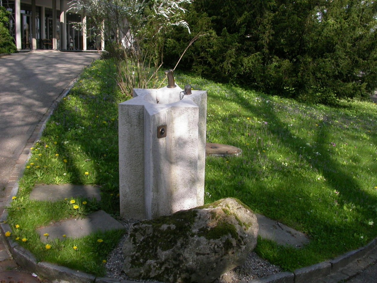 Friesenbergstr. 330
