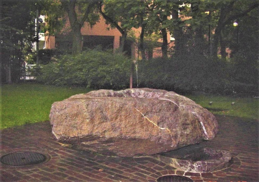 Triemlifuss-Weg bei Sallenbachstr. 40