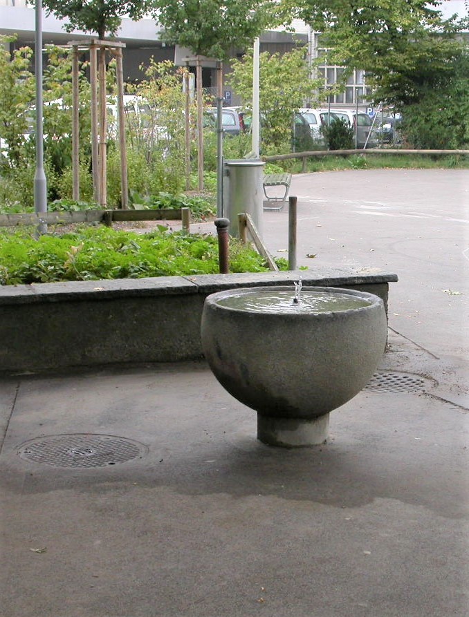 Badenerstrasse hinter 431