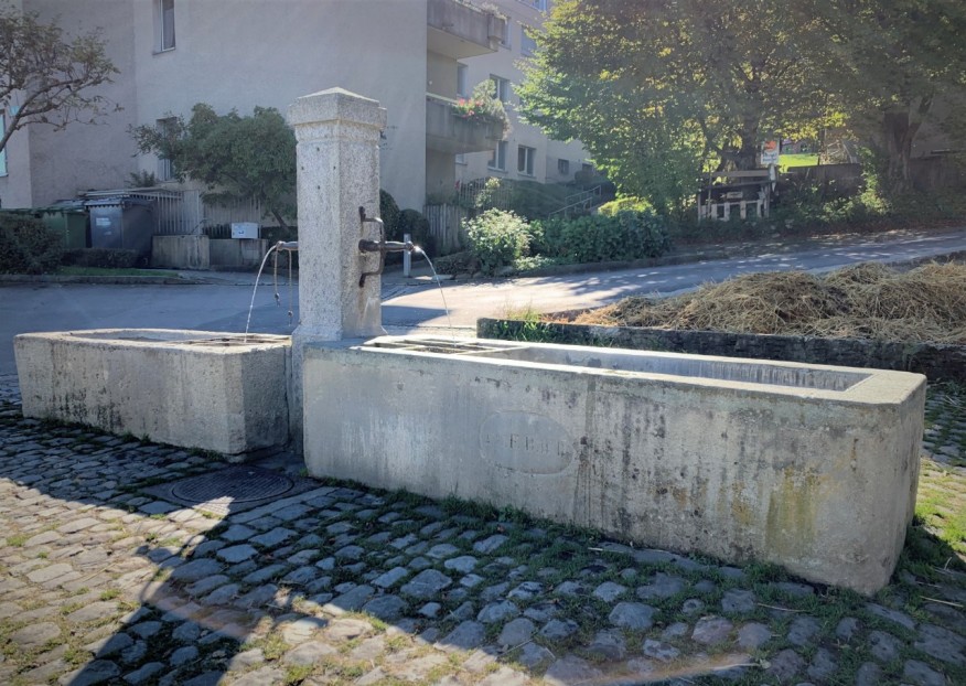 Friesenbergstrasse/Zielweg